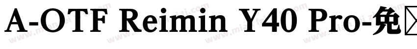 A-OTF Reimin Y40 Pro字体转换